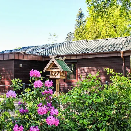 Härligt Hem I Haren Med Bastu * Dankern